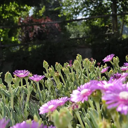 Cupello Gospodarstwo agroturystyczne