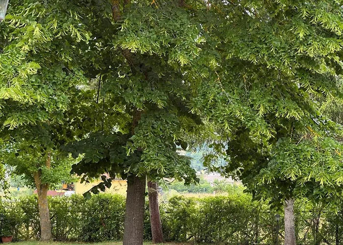 Agriturismo Cupello Cagnano Amiterno